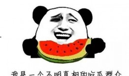 我真笨 qq瓜群,揭秘网络社交圈的趣味与智慧碰撞
