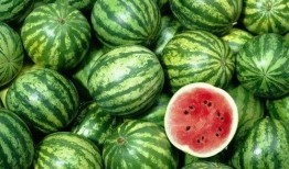 吃瓜网每日大赛 52每日大瓜视频,揭秘娱乐圈幕后风云，精彩视频盘点